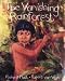 The Vanishing Rainforest