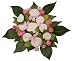 Baby : The Baby Bunch Medium Bunch Pink 0 to 6 Months