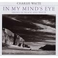 In My Mind's Eye: Seeing in Black and White
