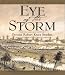 Eye of the Storm: A Civil War Odyssey