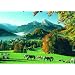 Meine Puzzles