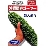 超大型の苦瓜!　沖縄願寿ゴーヤー　数量:10ml