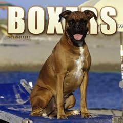 Boxers (Euro) Wall Calendar 2005