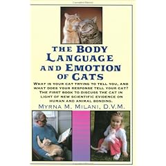 The Body Language and Emotion of Cats