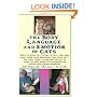 The Body Language and Emotion of Cats