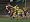 Pro Evolution Soccer 5 (Xbox)