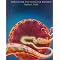 molecular biology