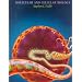 Molecular and Cellular Biology
