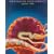Molecular and Cellular Biology
