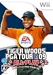 �^�C�K�[�E�E�b�Y PGA TOUR 09 ALL-PLAY