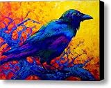 Black Onyx - Raven Canvas Print / Canvas Art - Artist Marion Rose