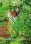 India Series: Wildlife Reserves of India (India (Antique Collectors Club))