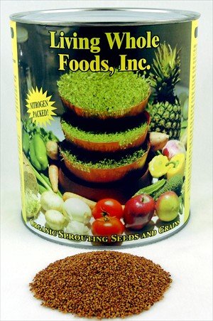 Germination Edible Seeds, germination of seeds. Germination Edible Seeds,