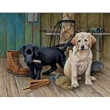 Breaktime-Labs Jigsaw Puzzle 1000pc