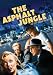 The Asphalt Jungle