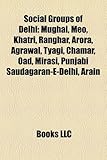 Social Groups of Delhi: Mughal, Meo, Khatri, Ranghar, Arora, Agrawal, Tyagi, Chamar, Oad, Mirasi, Punjabi Saudagaran-E-Delhi, Arain-