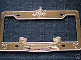 Disneyland Chrome License Plate Frame