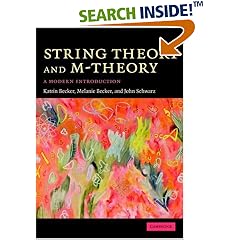 String Theory and M-Theory. A Modern Introduction (Gebundene Ausgabe)