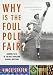 Why Is The Foul Pole Fair?: Answers to 101 of the Most Perplexing Baseball Questions