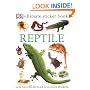 Reptile (Ultimate Sticker Books)