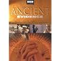 Ancient Evidence - Mysteries of the Old Testament