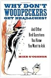Why Don t Woodpeckers Get Headaches: And Other Answers to Bird Questions You Know You Want to Ask