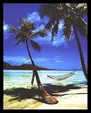 Paradise (Hammock, Beach) Framed Art Poster Print 16 X 20 Paradise (Hammock, Beach) Framed Art Poster Print - 16