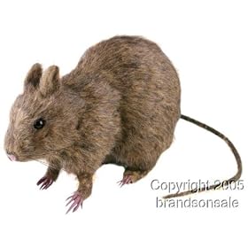Sitting Fake Rat Halloween Prop
