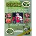 Roses [DVD]
