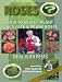 DVD : Roses