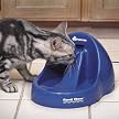 Boots & Barkley® Purifying Water Fountain