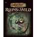 Ruins of the Wild: Dungeon Tiles 4 (Dungeons & Dragons Fantasy Roleplaying Accessory)