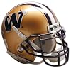 Schutt Collectible Mini Football Helmet (Washington)