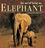 The Art of Being an Elephant