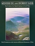Mynydd Du and Fforest Fawr : the evolution of an upland landscape in South Wales : from the end of the last glaciation to the present day
