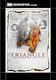 Triangle: Remembering The Fire