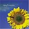 Grow Sunflowers