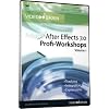 Adobe After Effects 7.0 - Profi-Workshops 1
