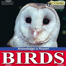Birds: Cranes through Passerines (Jewel Case)