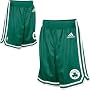 adidas Boston Celtics Youth (sizes 8-20) Replica Shorts