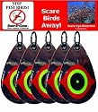 Bird B Gone MMSED5 Scare Eye Diverter, Set of 5