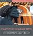 Books : Narrative of Sojourner Truth (Illustrated)