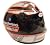 Kevin Harvick Autographed / Signed GM Goodwrench 1:3 Scale Nascar Racing Mini Helmet, Sprint Cup Series, Proof Photo