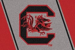 South Carolina Gamecocks 5' 4" x 7' 8" Team Spirit Area Rug