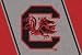 South Carolina Gamecocks 5' 4" x 7' 8" Team Spirit Area Rug