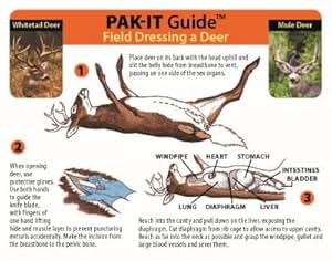 Amazon.com : PAK-IT Guide to Field Dressing a Deer : Hunting Field ...