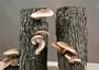 Ma & Pa Shiitake Mushroom Kit
