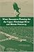 Water Resources Planning for the Upper Mississippi River and Illinois Waterway