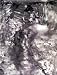 Books : Jasper Johns: Drawings