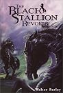 The Black Stallion...